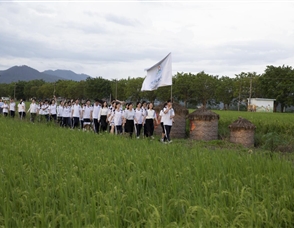 2024年党务信息第4期：走进“稻田画卷”的思政课 打造思政育人新模式